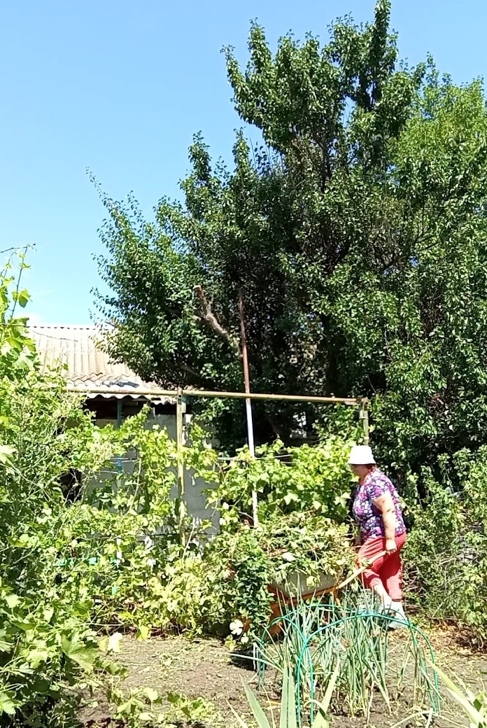 Ух, и наросло!