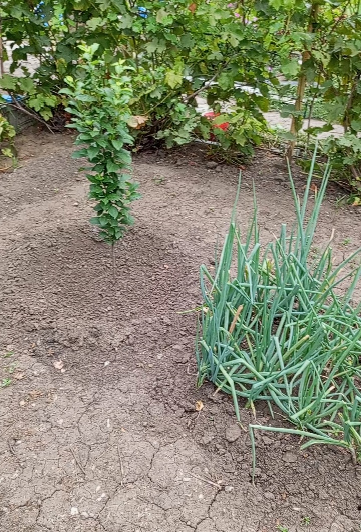 Так -то получше.