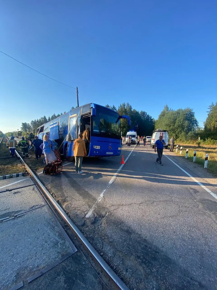    Фото: ГУ МВД по Петербургу и Ленобласти