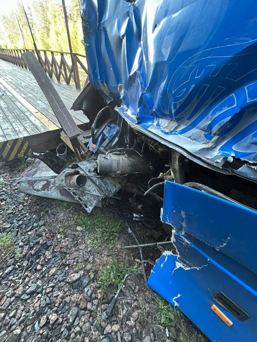    Фото: ГУ МВД по Петербургу и Ленобласти