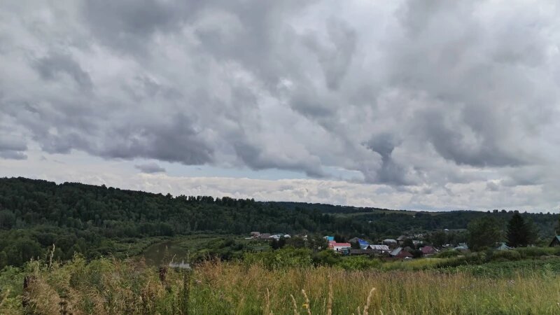     Село Ельцовка Ельцовского района Алтайского края. 2025 год. Altapress.ru