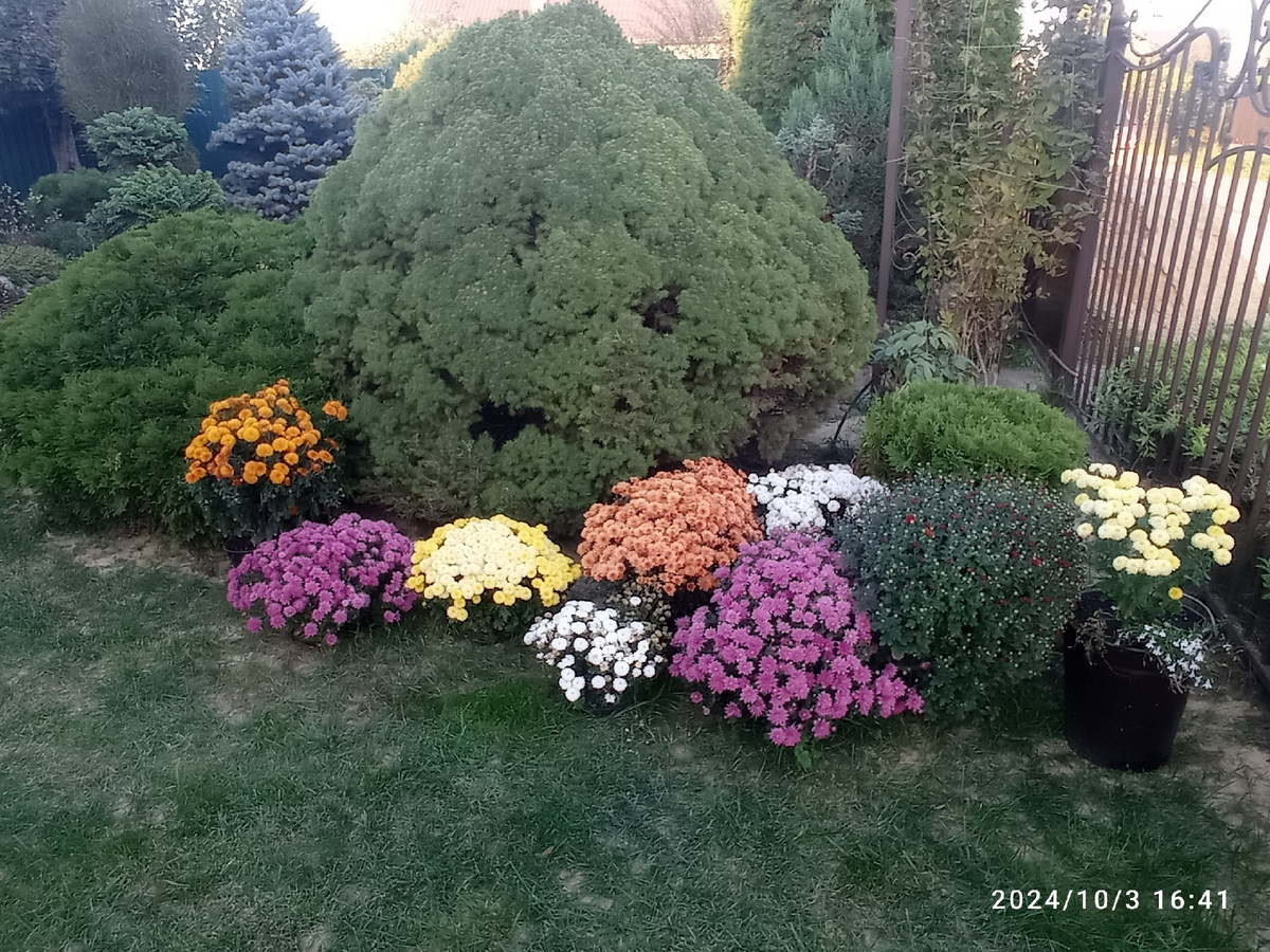 в прошлом сезоне