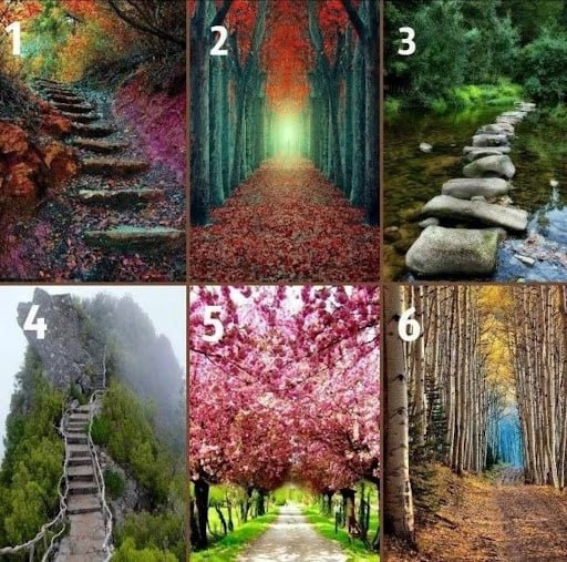 Проективный тест для познания себя