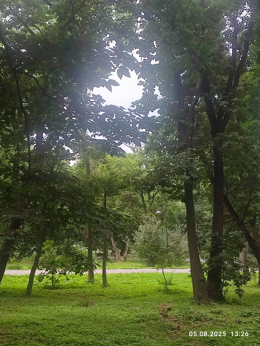 Покровский парк. Фото автора.