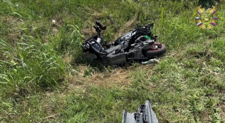    Фото: Кадр из видео / t.me/gibdd123region