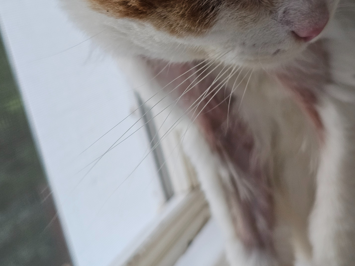 Кто знает, что это такое?(