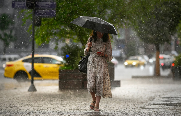 Фото: Владимир Астапкович/РИА Новости