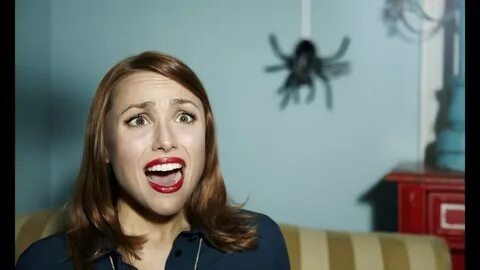 Маленький паук, а эффект — как от хоррора.