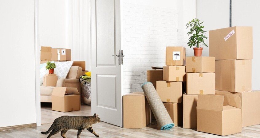    Международный переезд и транспортировка личных вещей