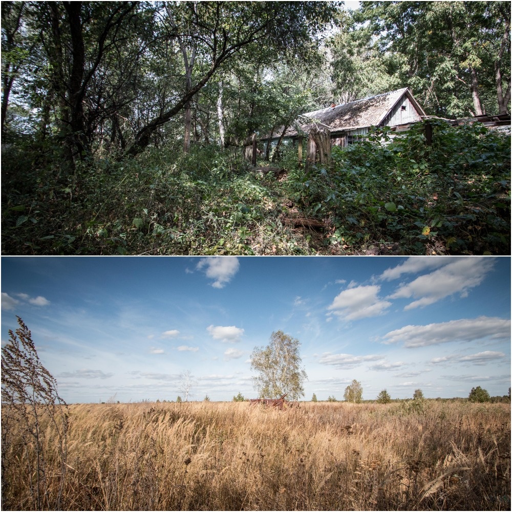Село Стечанка. Путь на Буряковку. 