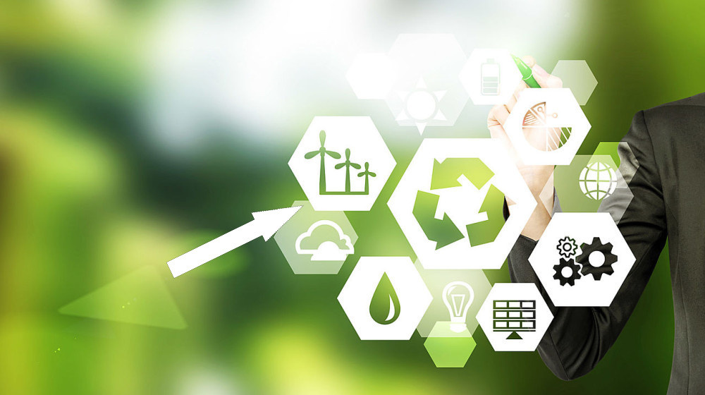    Как мошенники зарабатывают миллиарды на вашей экосознательности