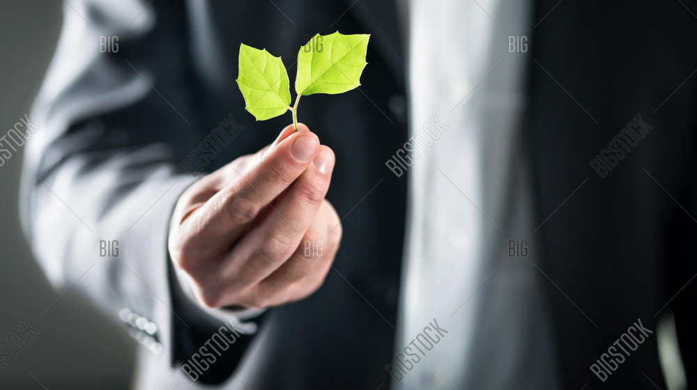    Как мошенники зарабатывают миллиарды на вашей экосознательности