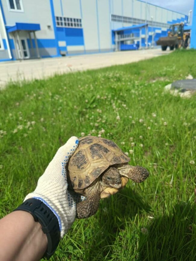 Фото предоставлено пресс-службой "Облкоммунэнерго"