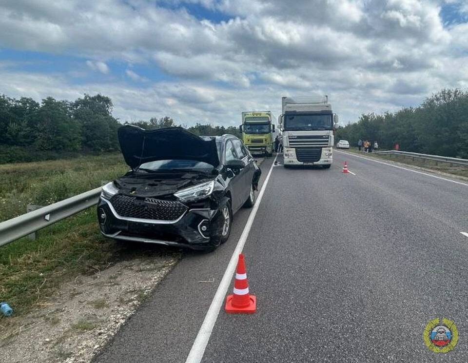    Фото: ГУ МВД России по Волгоградской области