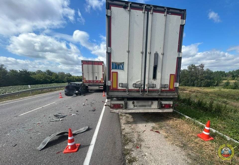    Фото: ГУ МВД России по Волгоградской области