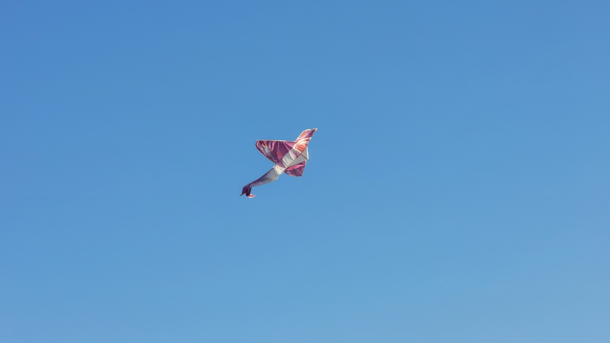 Я сейчас подвешена в воздухе, как эта "акула"