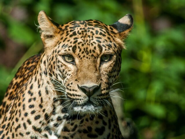    Фото: 123RF/zemkooo