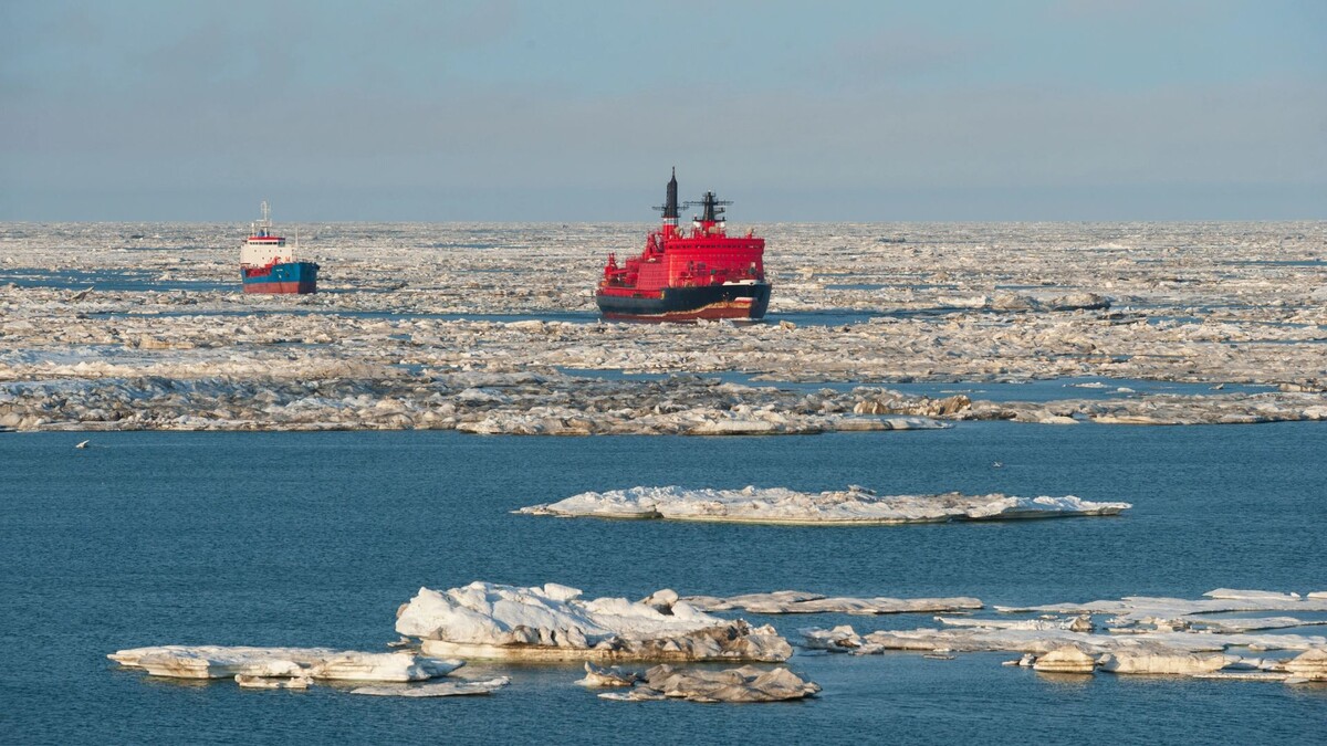    Фото: Shutterstock/Koptyaev Igor