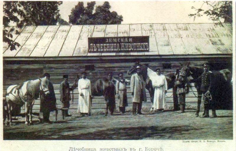 Земская лечебница животных