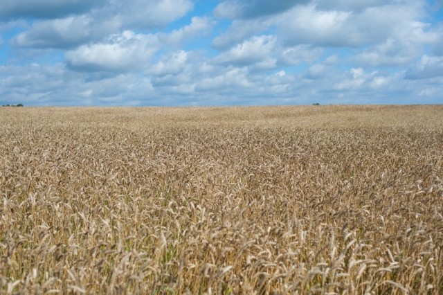   Фото из архива Калининград.Ru