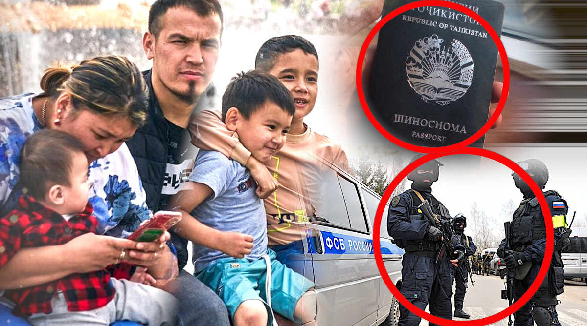 Коллаж автора 