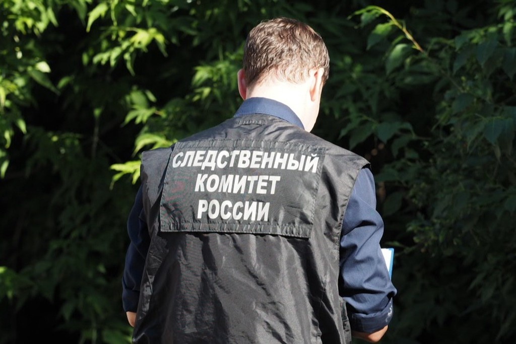    Фото © VK / СУ СК России по Новосибирской области