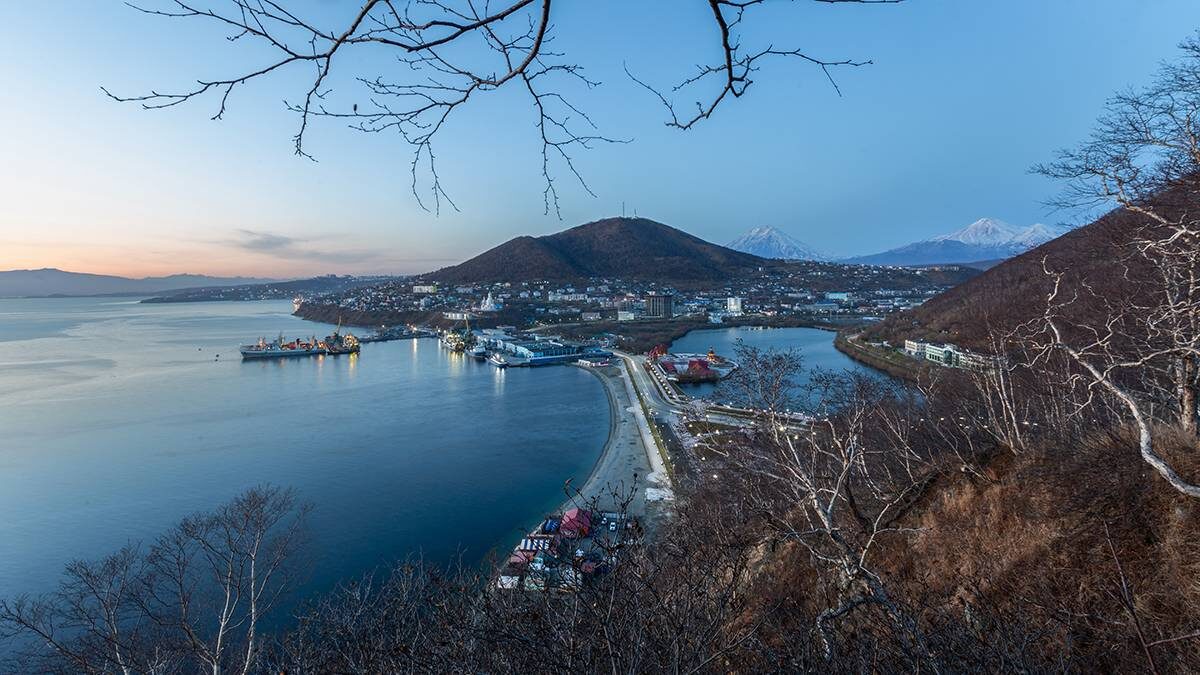    Фото: Shutterstock