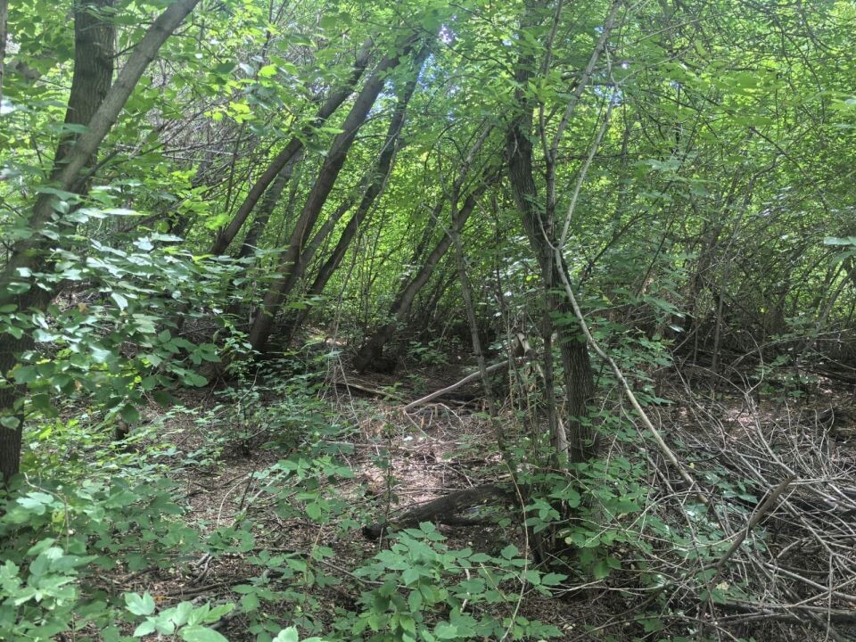    Место, где нашли тело ребенка. Источник: СУ СКР по Алтайскому краю