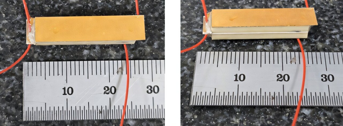    Biosensors and Bioelectronics (2025)
