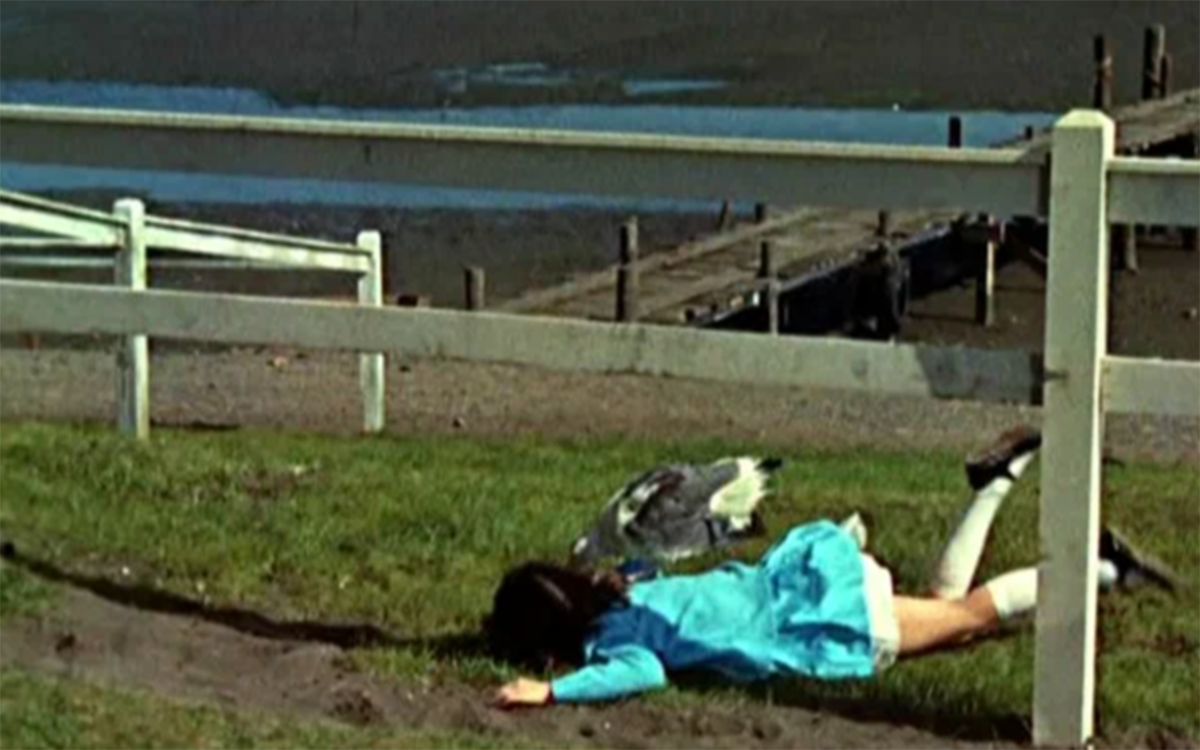 Кадр из фильма "Птицы"