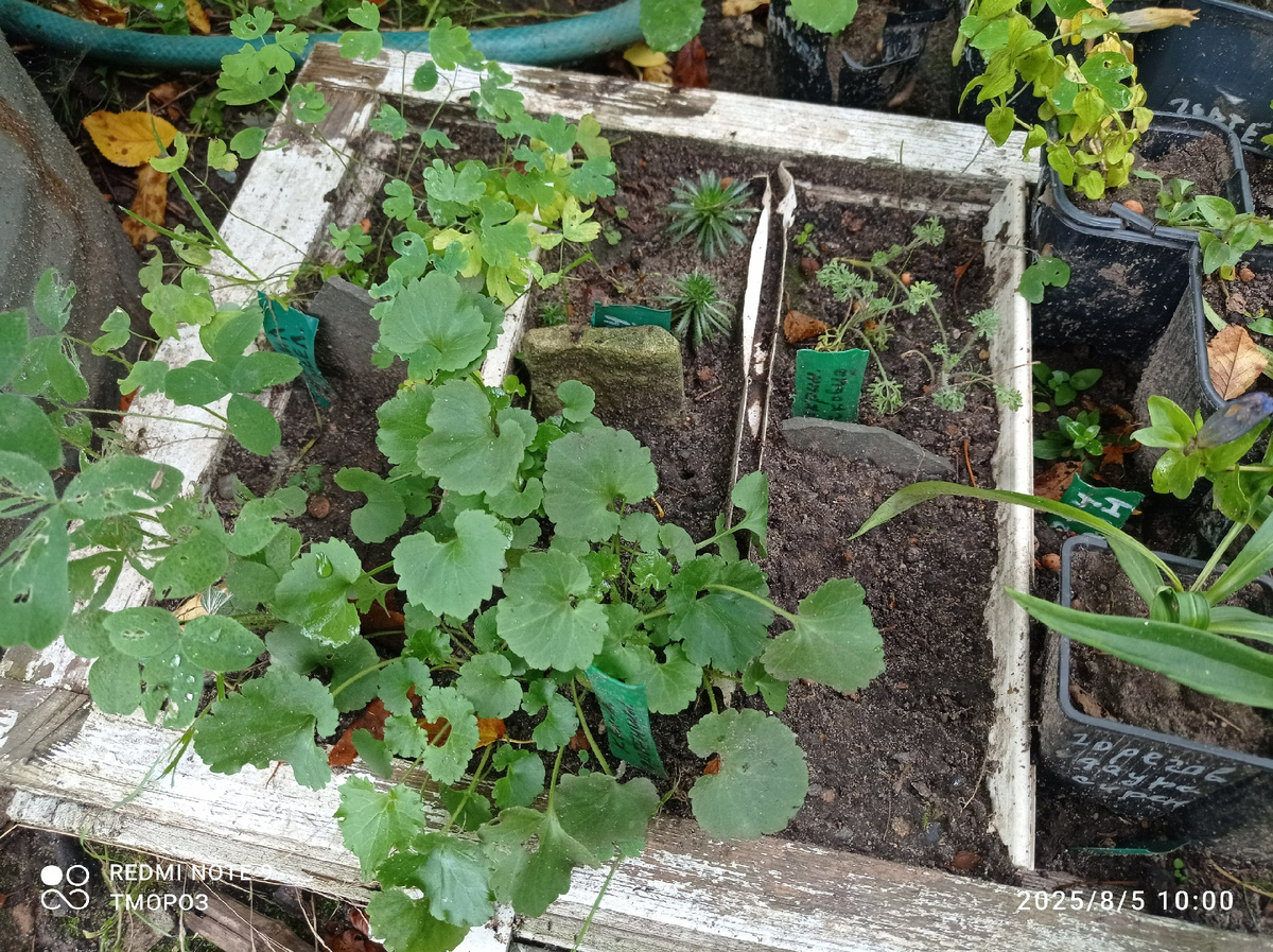 мои примеры