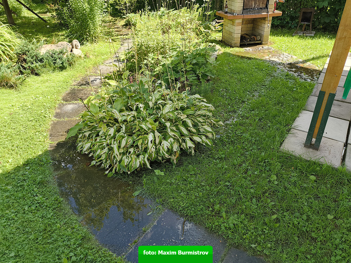 Возле беседки и мангала – тоже водичка.