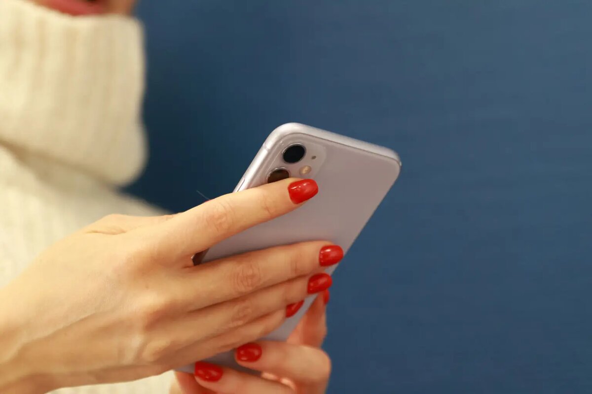    Baltphoto/Вероника Овсянникова