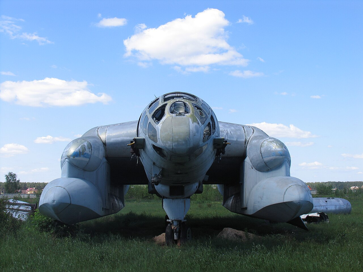 Вид спереди.