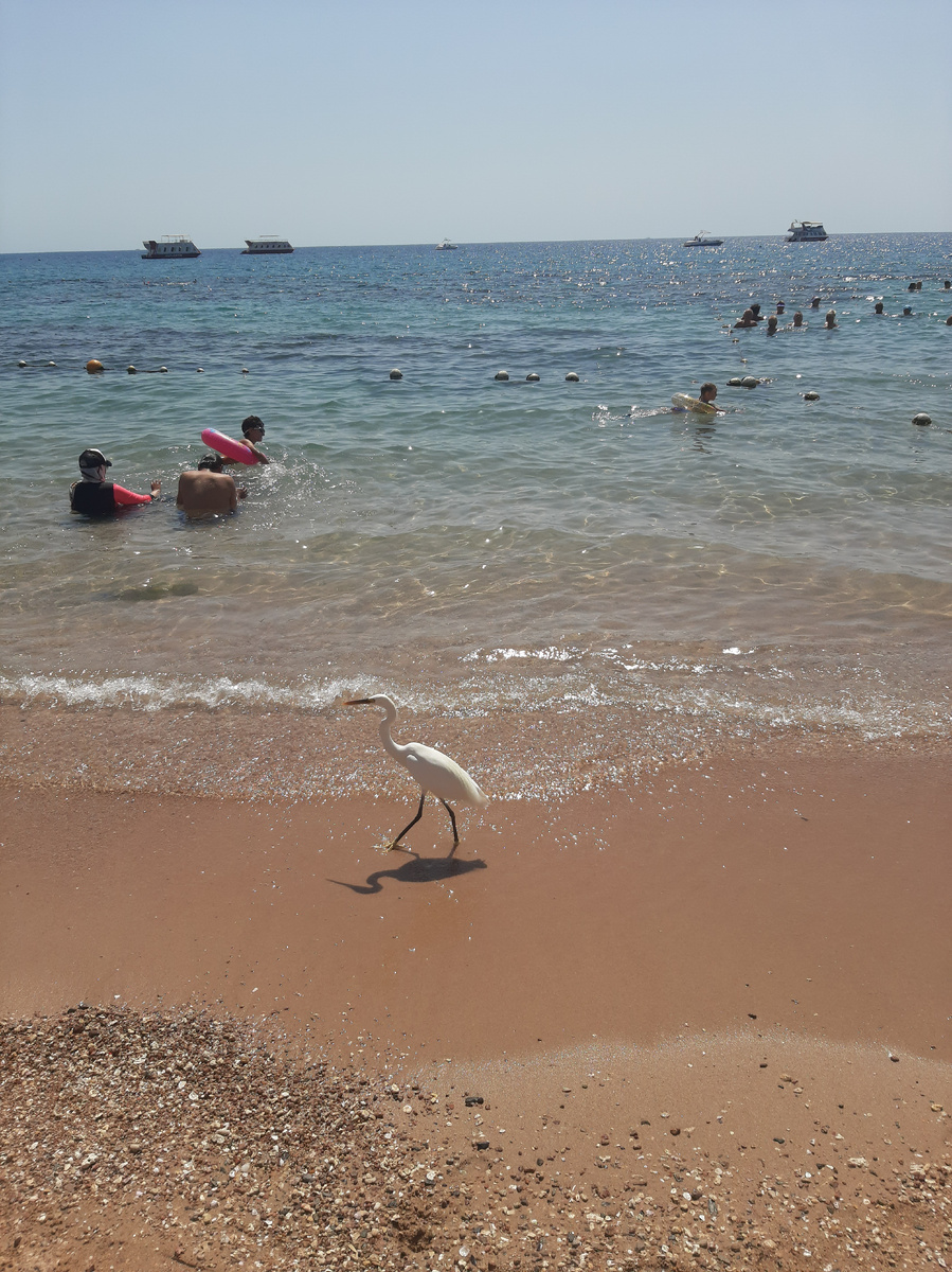 Фото автора канала