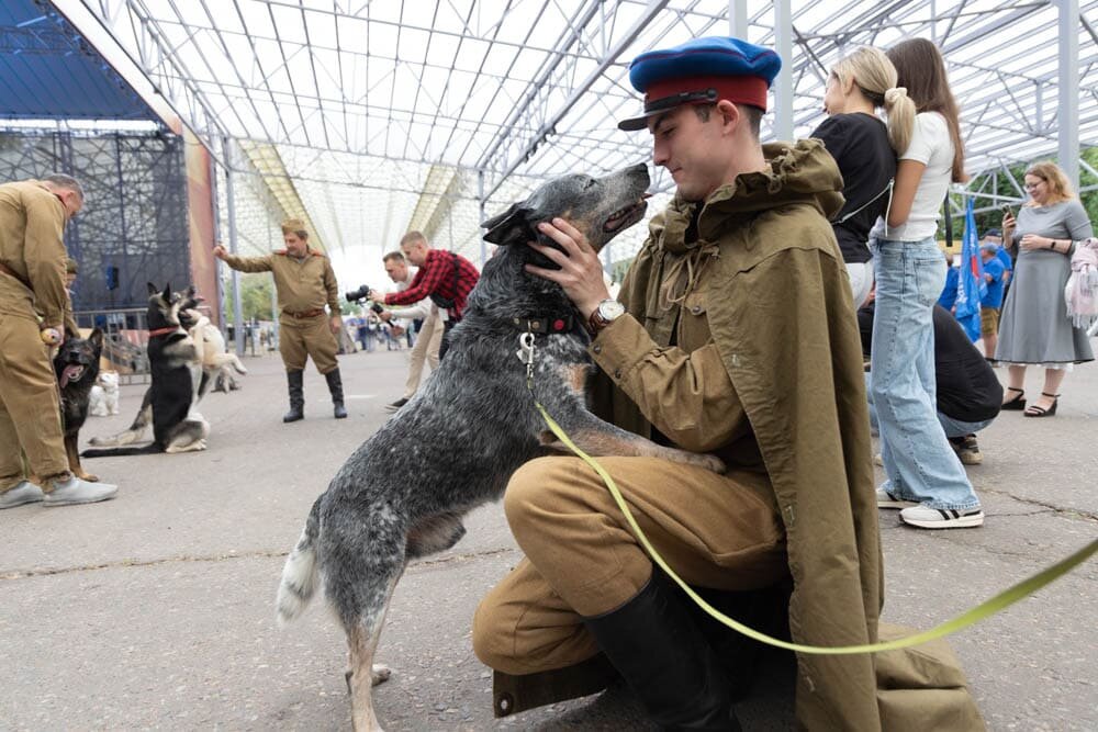    Музей Победы отпразднует День фронтовой собаки с особой программой
