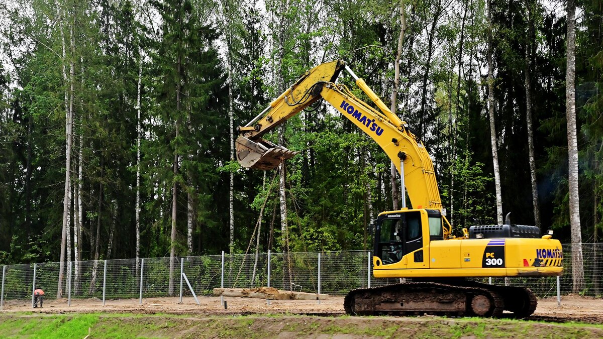    Фото: Vladimir Baranov/globallookpress.com