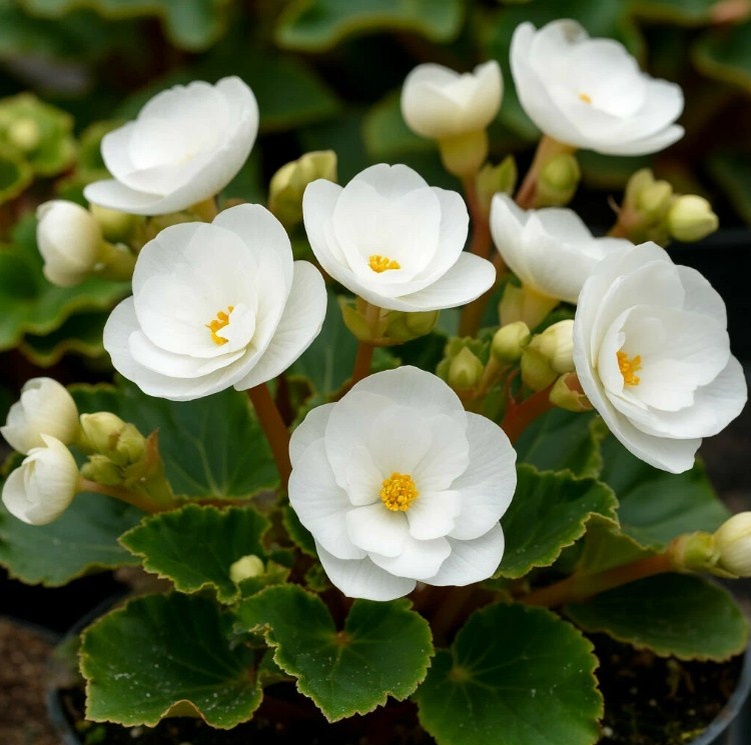 Создано в Шедеврум.