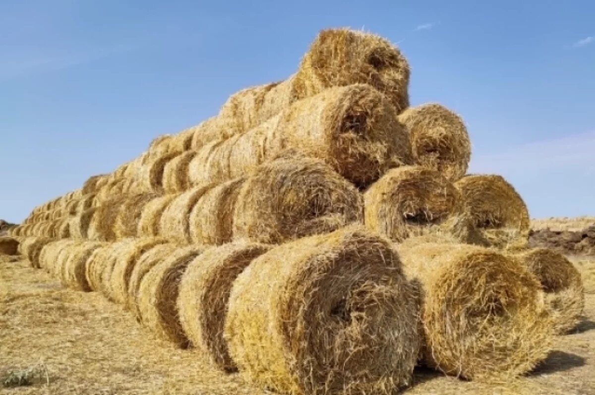    Глава Якутии поручил направить все силы на заготовку сена