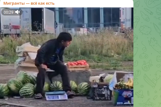    Фото: скрин тг-канала "Мигранты - всё как есть".