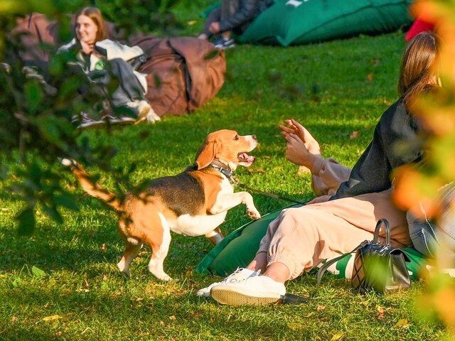    Фото: портал мэра и правительства Москвы/Иванко Юлия