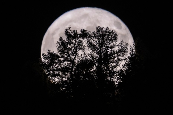 Фото: РИА Новости