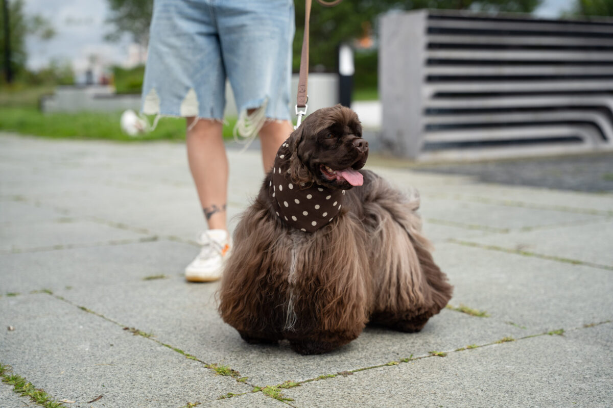 Фото: Александр Плонский / «ВиЖ»