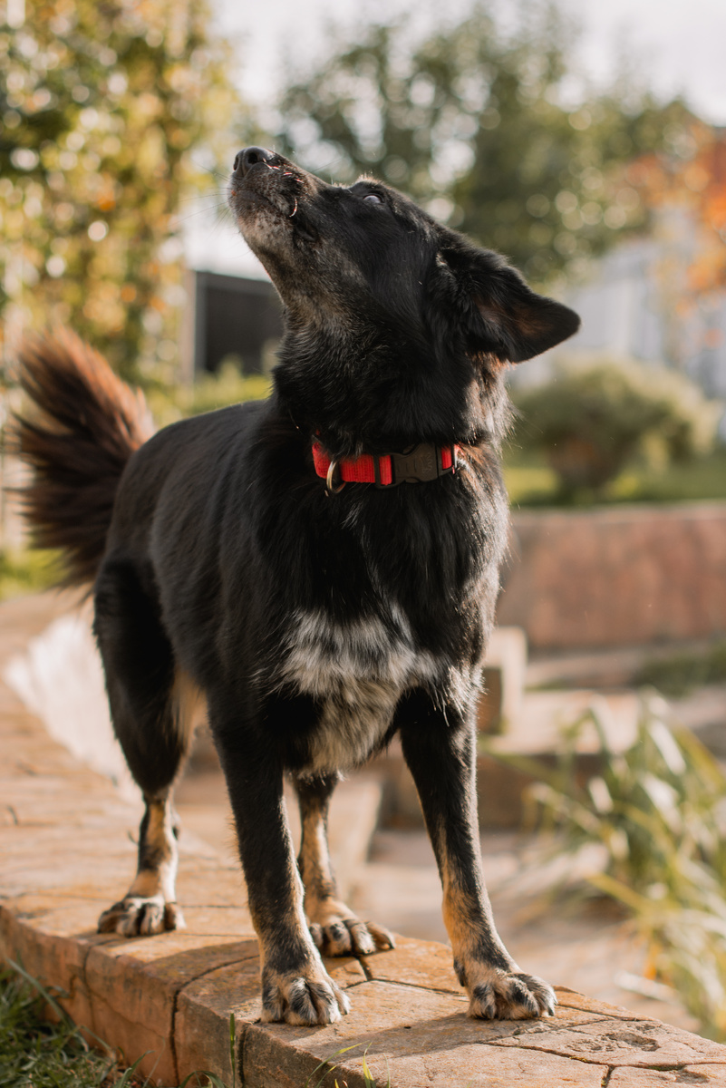 Королева, она и есть королева...