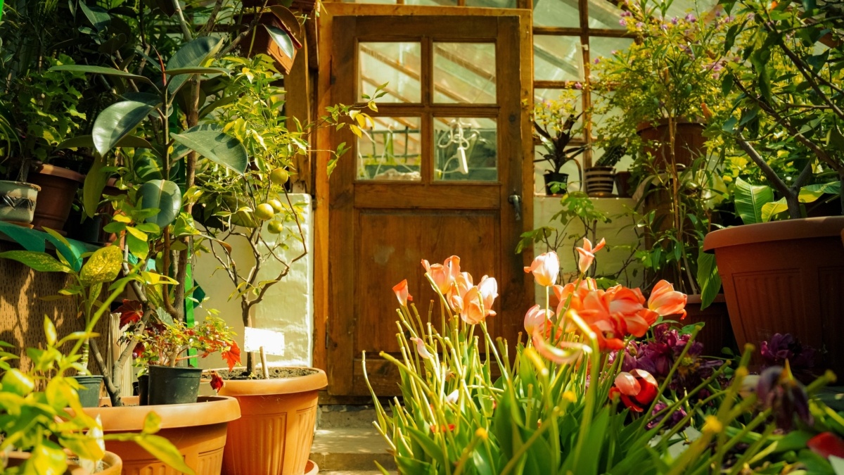 Светлана Мулыкина📷
