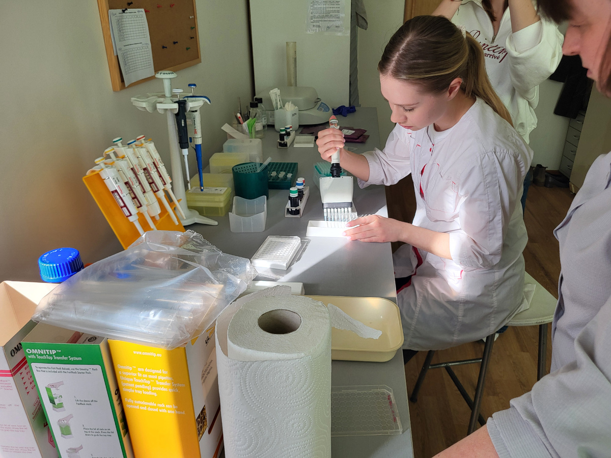 Определение микотоксинов методом ИФА