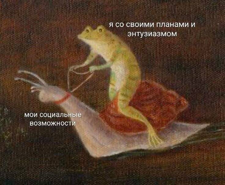 Фотография из социальных сетей