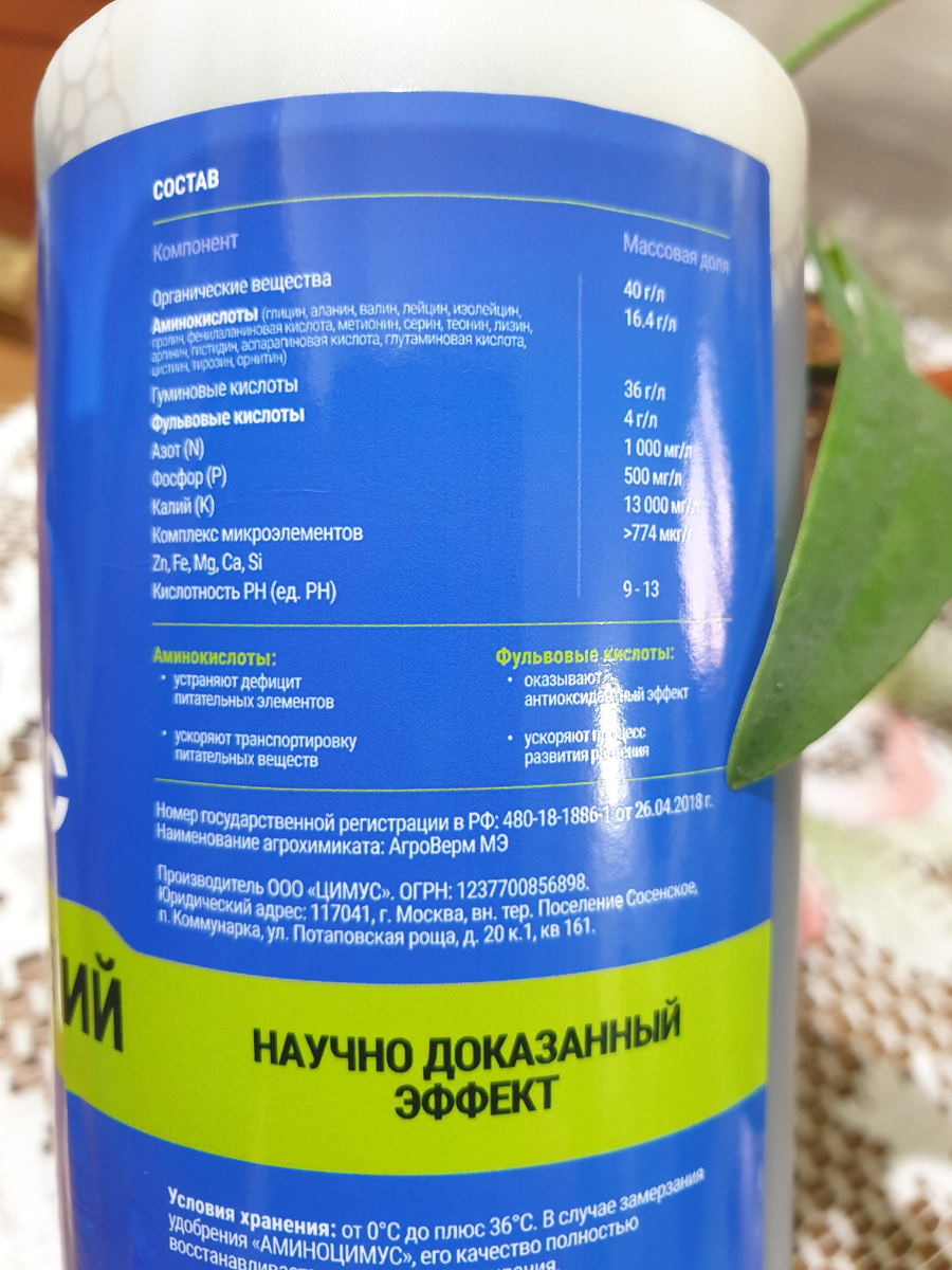 Фото автора