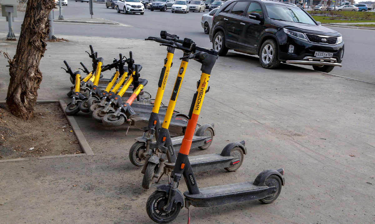 Фото: Павел Комаров, nsknews.info