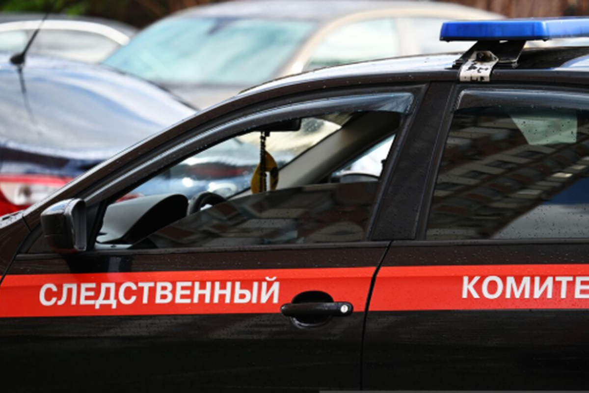    Фото: Максим Блинов, Источник: ria.ru